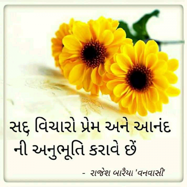 Gujarati Motivational by rajesh baraiya : 111050585