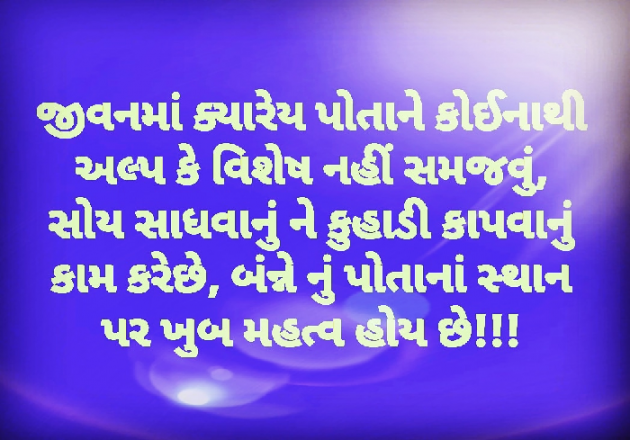 Gujarati Blog by વિજયસિંહ પરમાર : 111050772