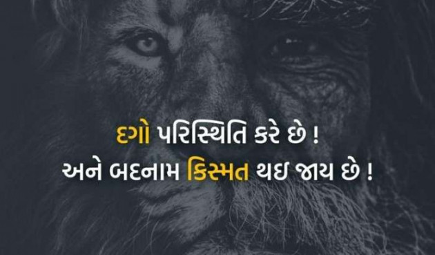 Gujarati Blog by A friend : 111050871