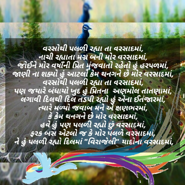 Gujarati Shayri by Viraj Patel : 111050890