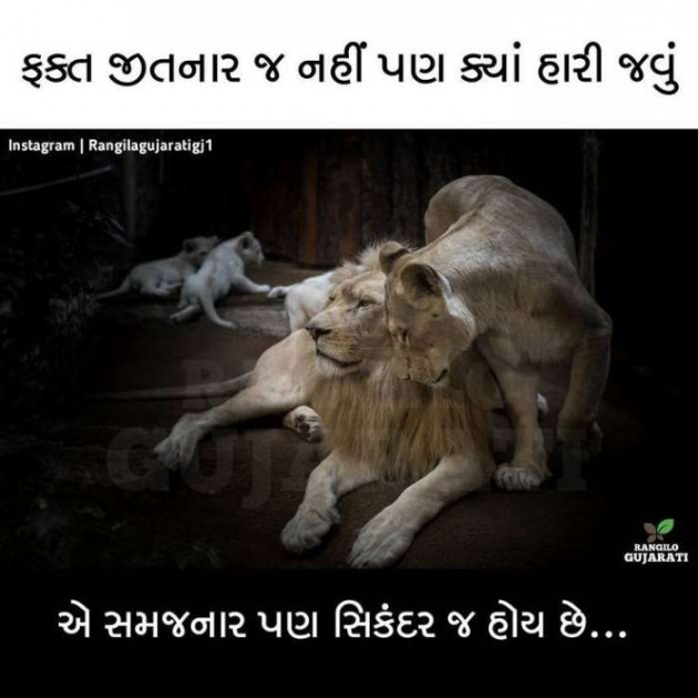 Gujarati Blog by A friend : 111050987