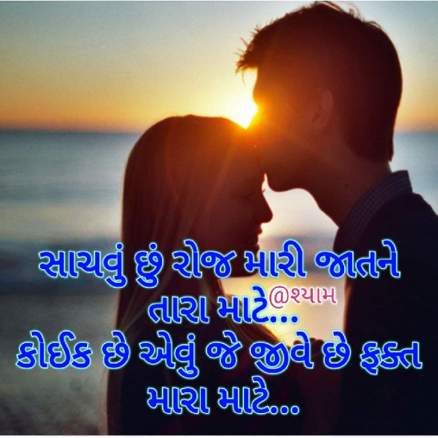 Gujarati Shayri by Nirav Patel SHYAM : 111051098