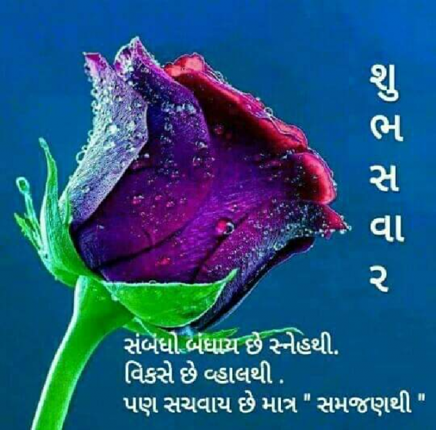 Gujarati Quotes by Nilesh Raval : 111051132