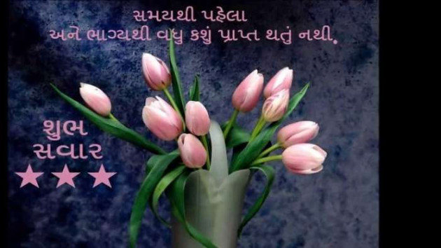 Gujarati Blog by A friend : 111051615