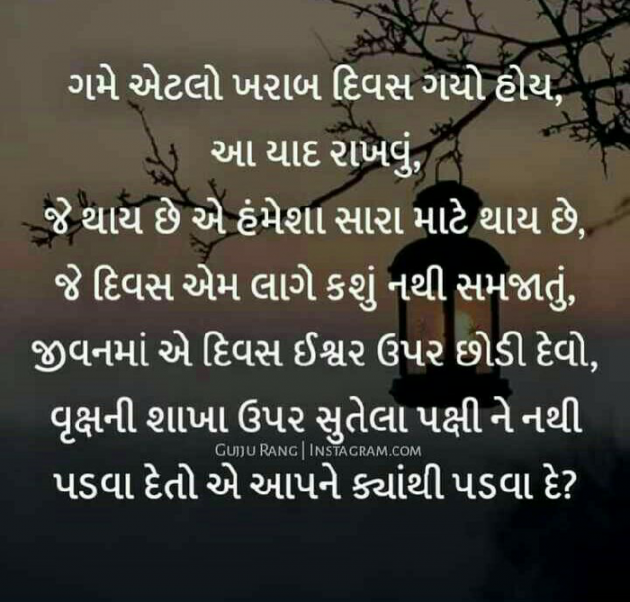 Gujarati Whatsapp-Status by Vinod Patel : 111052207