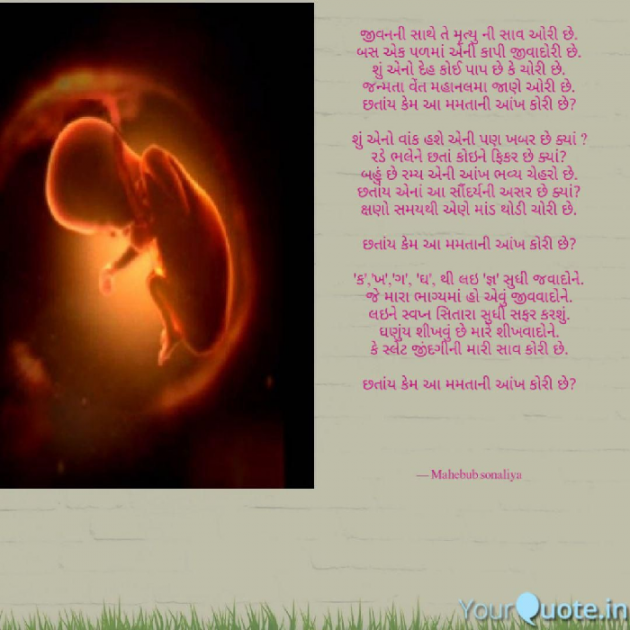 Gujarati Blog by Author Mahebub Sonaliya : 111053158