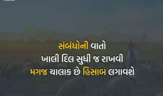 Gujarati Blog by A friend : 111053523