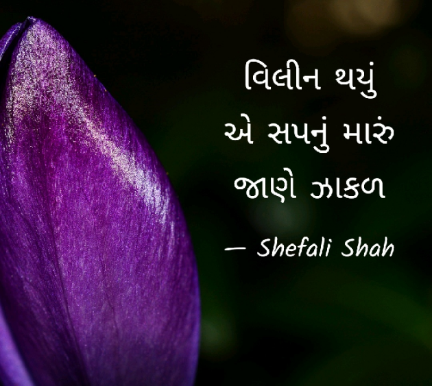 Gujarati Hiku by Shefali : 111053682