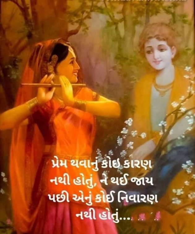 Gujarati Shayri by A friend : 111053846