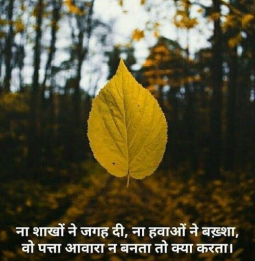 Post by Harsh Sapariya on 29-Nov-2018 02:07pm