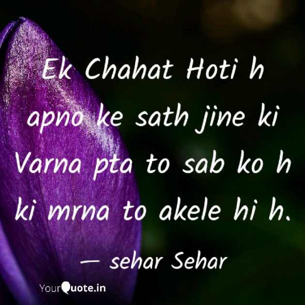 English Shayri by Sehar Sehar : 111054539