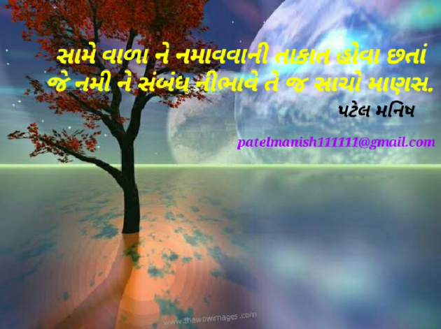 Gujarati Blog by Manish Patel : 111055065