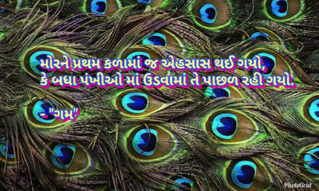 Gujarati Whatsapp-Status by Hitesh Mo Gadhavi GAM : 111055203