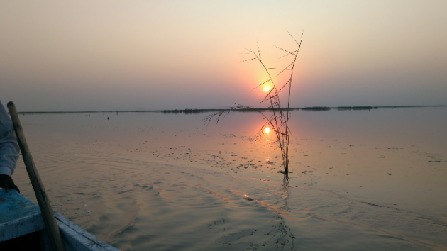 Gujarati Shayri by KisMat : 111055405