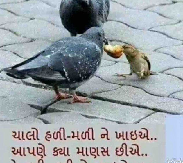 Gujarati Quotes by Umakant : 111056349