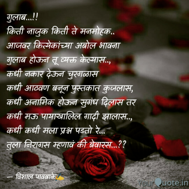 Marathi Story by विशाल पावबाके : 111056410