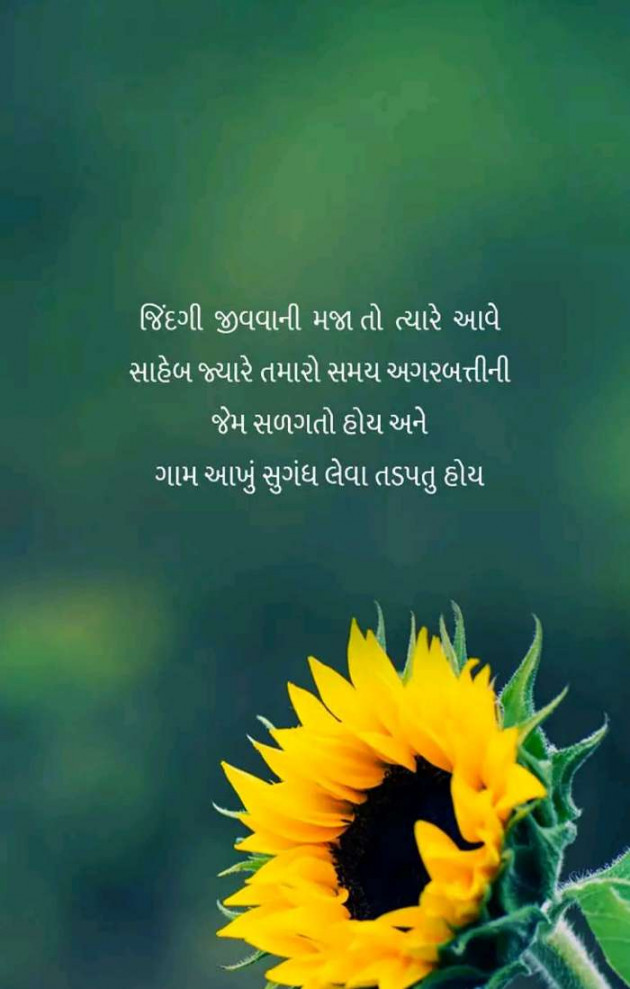 Gujarati Shayri by ALPESHSINH SOLANKI : 111056494