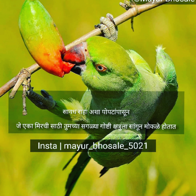 Marathi Quotes by Er Mayur Bhosale : 111056510