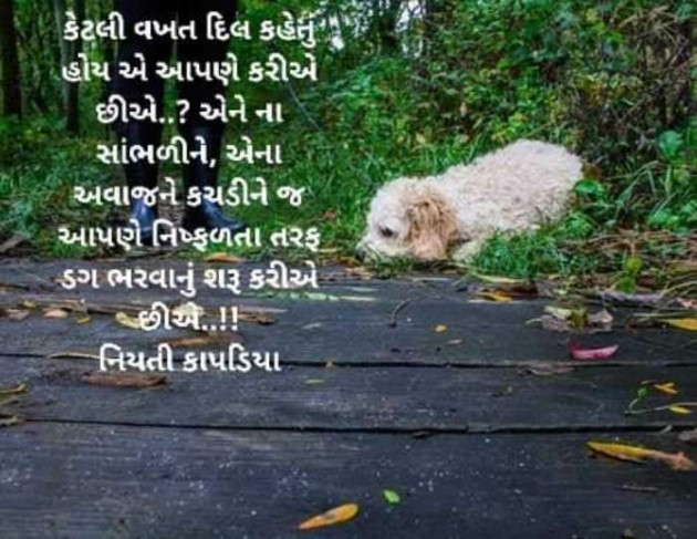 Gujarati Quotes by Niyati Kapadia : 111056596