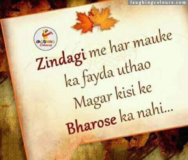 Gujarati Shayri by Bharat Maheshwari : 111056783