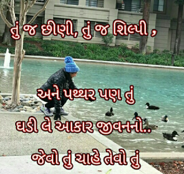 Gujarati Blog by Bhavna Bhatt : 111056807