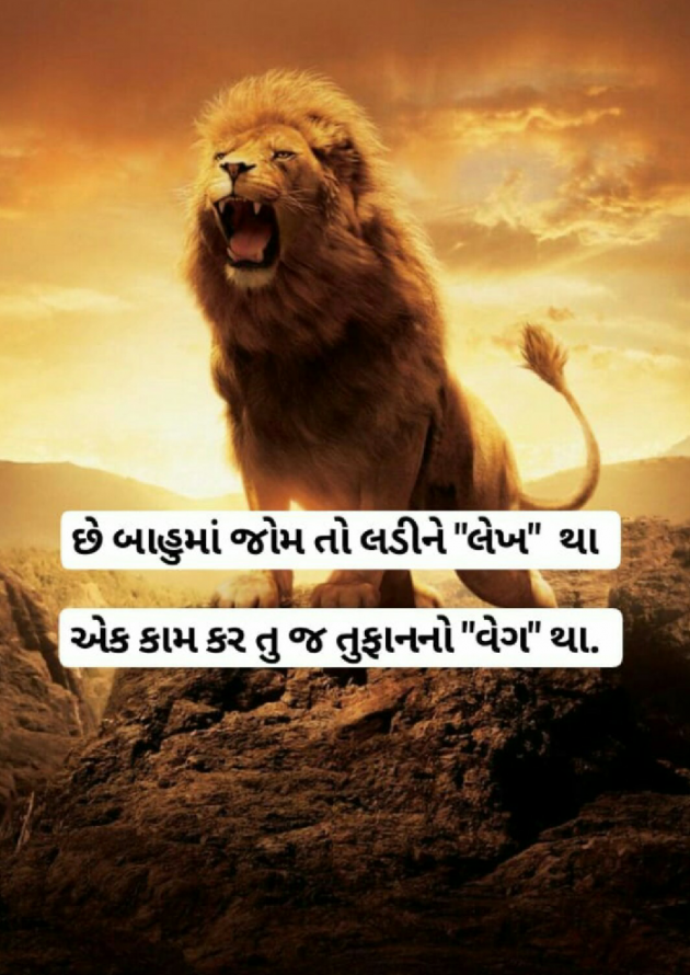 Gujarati Shayri by Piyush : 111057121