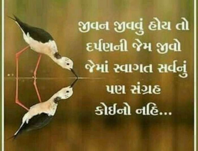 Gujarati Quotes by A friend : 111057130