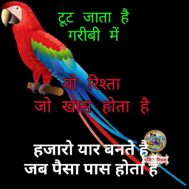 Gujarati Quotes by BJKochara BJKochara : 111057164