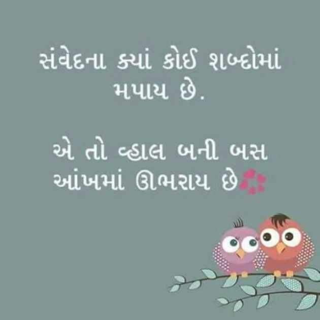 Gujarati Shayri by A friend : 111057862