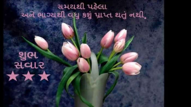 Gujarati Quotes by A friend : 111057897