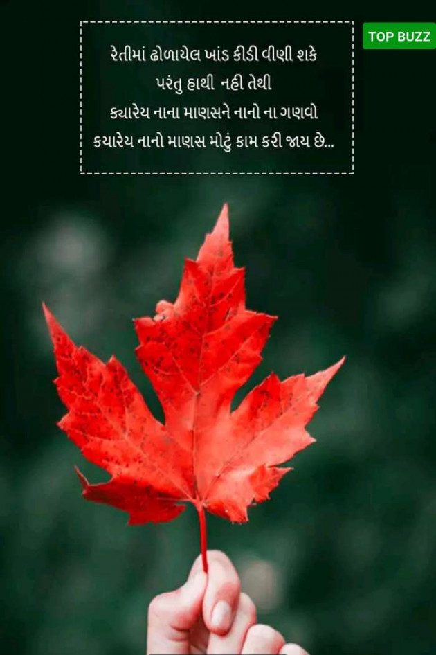 Gujarati Whatsapp-Status by ALPESHSINH SOLANKI : 111058048