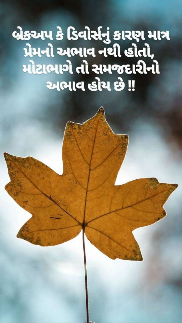 Gujarati Blog by A friend : 111058852