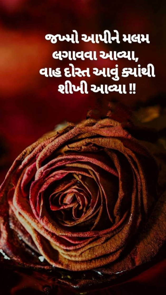 Gujarati Shayri by A friend : 111058998