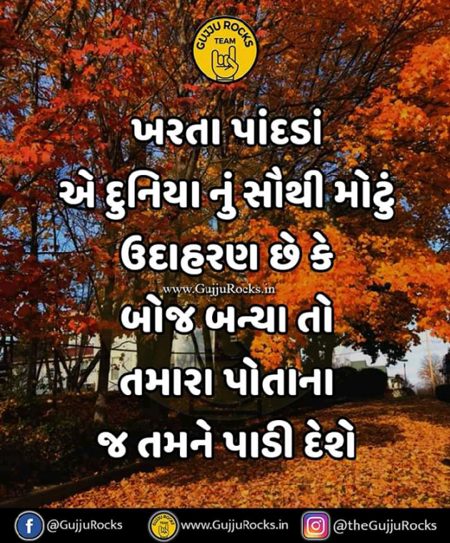 Gujarati Story by Mayank patel : 111059678