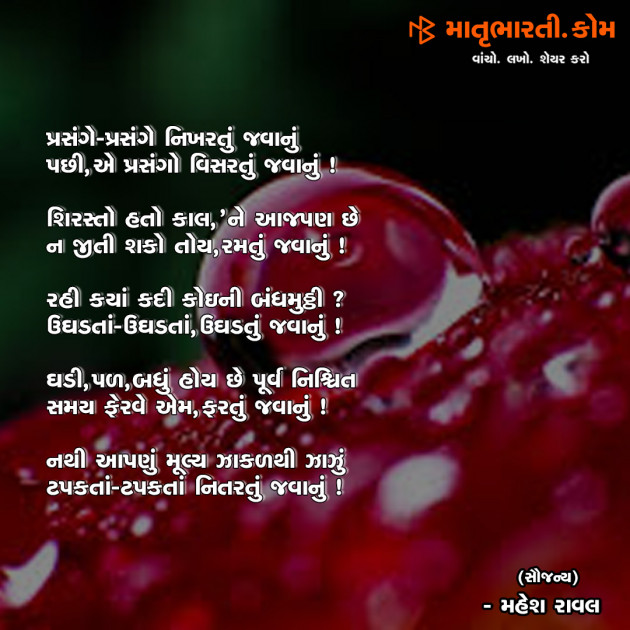Gujarati Shayri by MB (Official) : 111060016