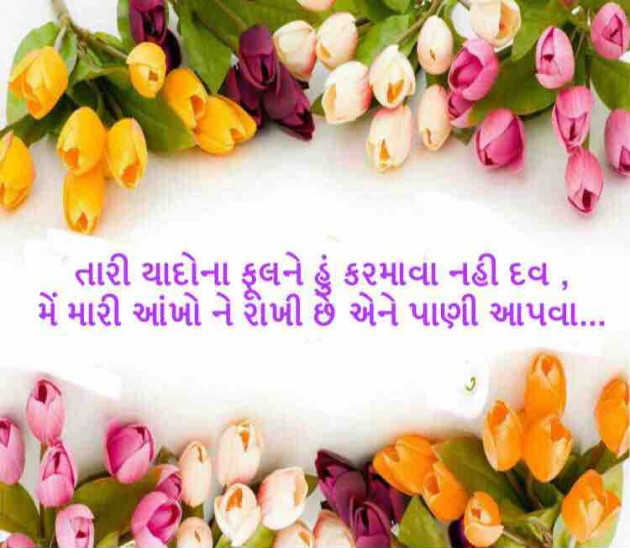 Gujarati Shayri by Bhavesh JADAV : 111060327