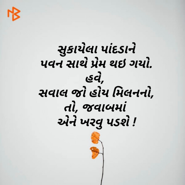 Gujarati Shayri by Modhwadiya Vipul : 111060445