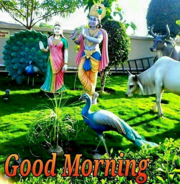 Gujarati Good Morning by Sanju Parmar : 111060793