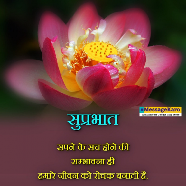 English Quotes by Sehar Sehar : 111060815
