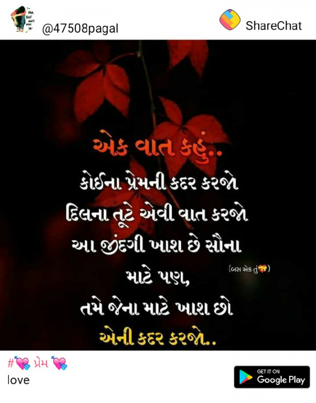 Gujarati Shayri by Bhavin Chhaya : 111061406