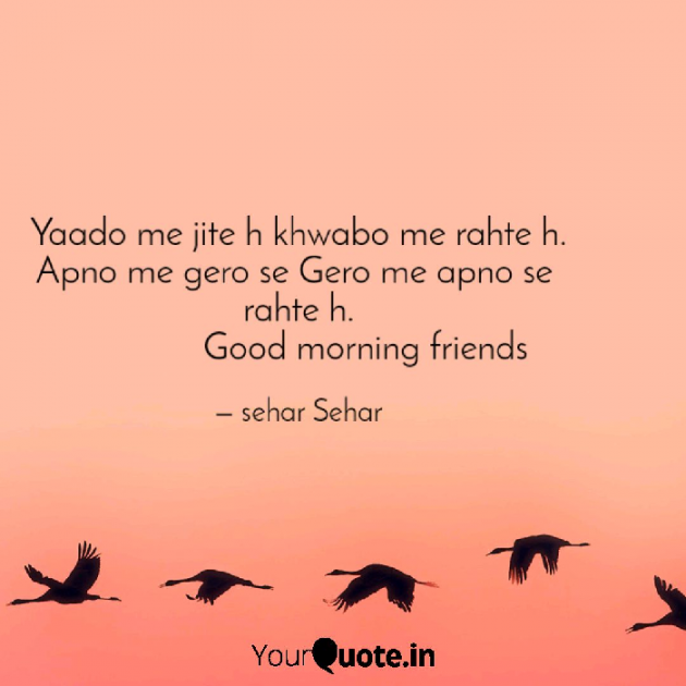 English Shayri by Sehar Sehar : 111062215