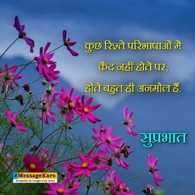 English Quotes by Sehar Sehar : 111062221