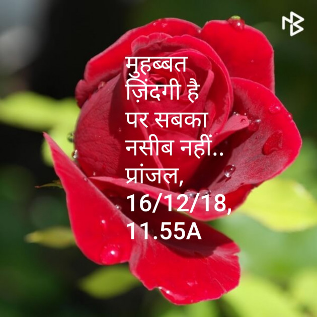 Hindi Shayri by Pranjal Shrivastava : 111062280