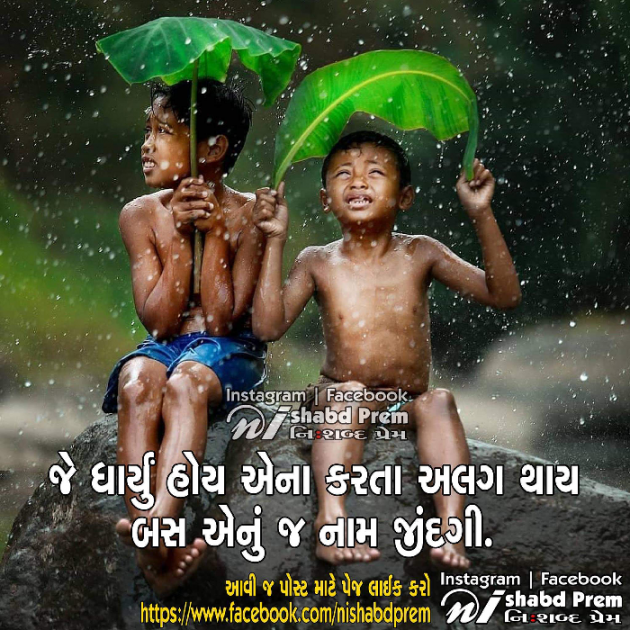 Gujarati Quotes by Ankita Gondaliya : 111062816