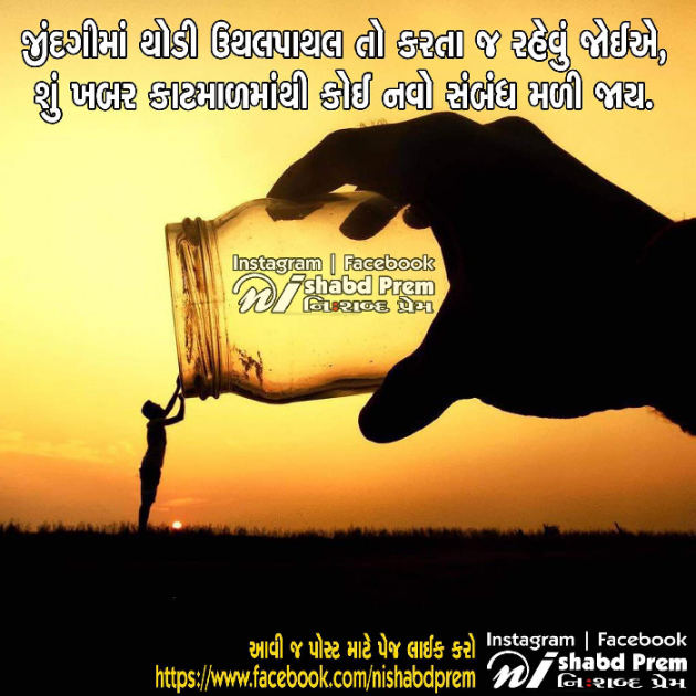 Gujarati Quotes by Ankita Gondaliya : 111062818