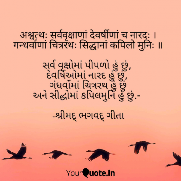 Gujarati Quotes by rajesh baraiya : 111063421