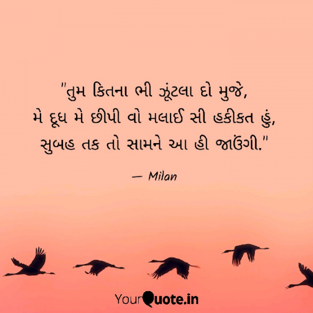 Gujarati Shayri by Milan : 111063878