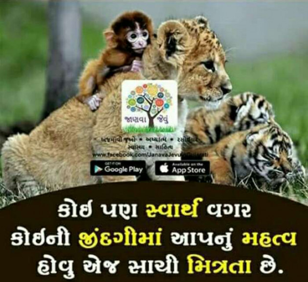 Gujarati Thought by Vishal : 111064597