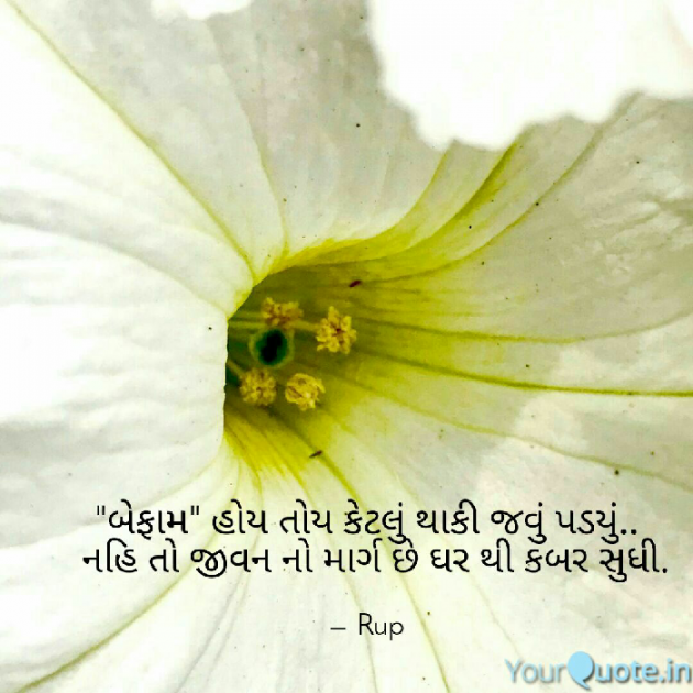 Gujarati Thought by Rupal Mehta : 111064857