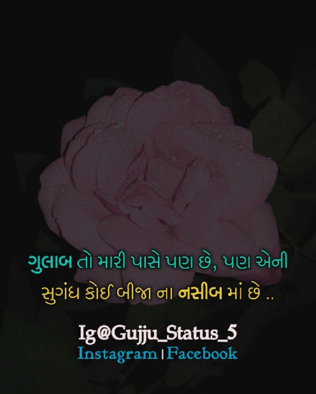 Gujarati Thought by Shani Dedki : 111065073